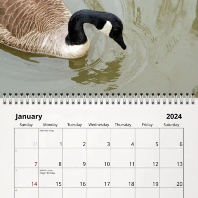 TIME PLANNING CUTE Duck Calendar 2024 Calendar Desk Decoration EUR 13,46 PicClick IT