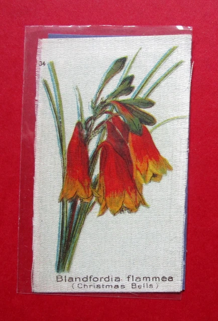 IMPERIAL TOBACCO CANADA ANTIQUE 1913 TROPICAL PLANTS SILK No 34  CHRISTMAS BELLS