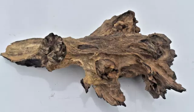 Driftwood Natural Tree Trunk Aquarium Fish Tank Reptile Deco Length 10 Inches