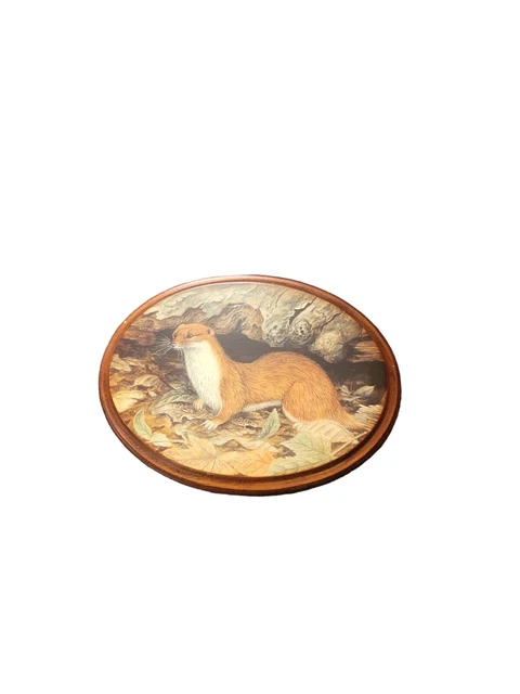 Oval Plaque otter mahogany animal