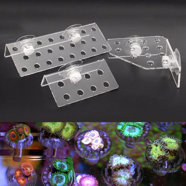 Útil soporte para tanque de suministros transparentes enchufe de frag de coral para acuarios de roca viva