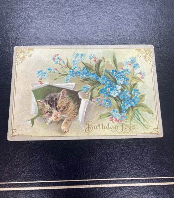 Vintage Postcard Cat Kitten Birthday Greetings Reverse Embossed Unposted