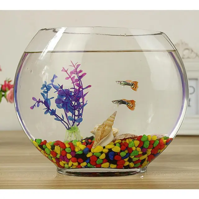 Flat Mouth Clear Mini Desktop Glass Fish Tank Aquarium Bowl Decoration 1