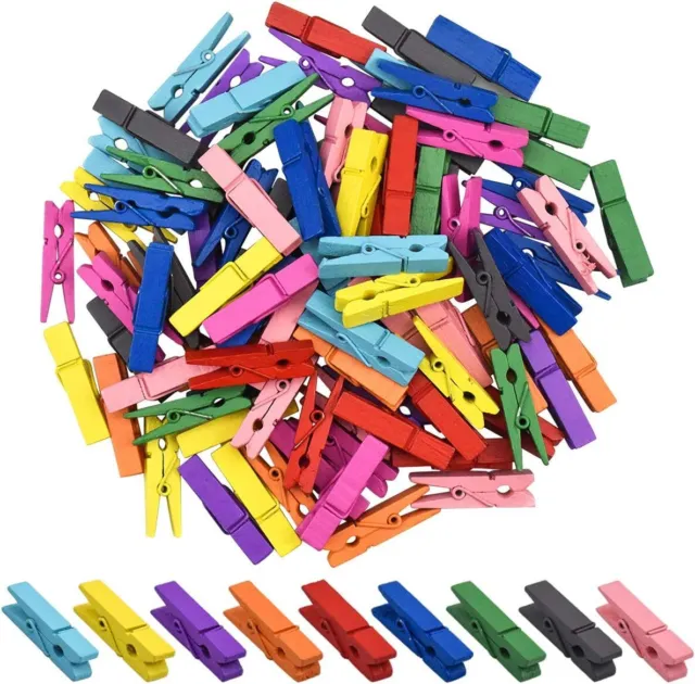 Kissral 100 Piece Laundry Staples, Colored Laundry Clip Staples Decorative Staples Hol