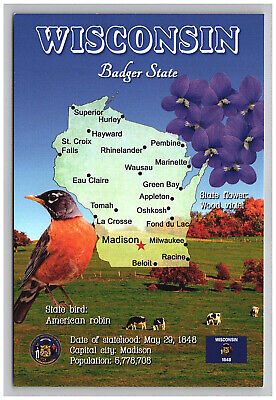Postcard 4x6 WI Badger State Map Bird Flower Advertising View Wisconsin