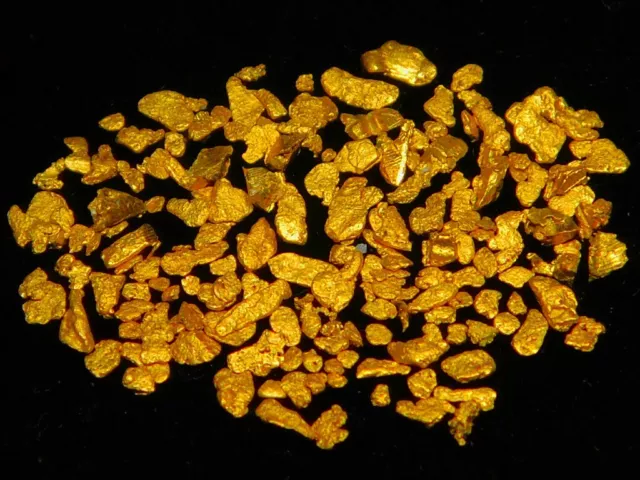 Australian Gold  Pannings  ( 1.34 grams ). Very Clean.