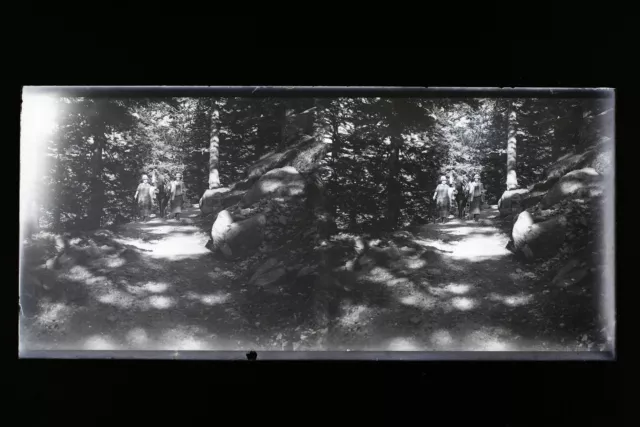 Montagne France Cauterets Photo Stereo L2n3 Vintage Plaque de verre NEGATIF