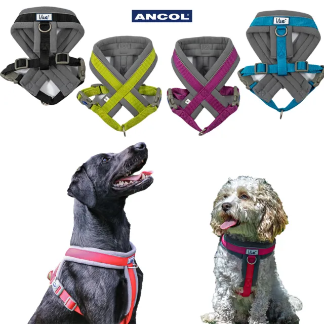 Ancol Padded Dog Harness Viva Reflective Soft Strong Durable Quick Fit Puppy