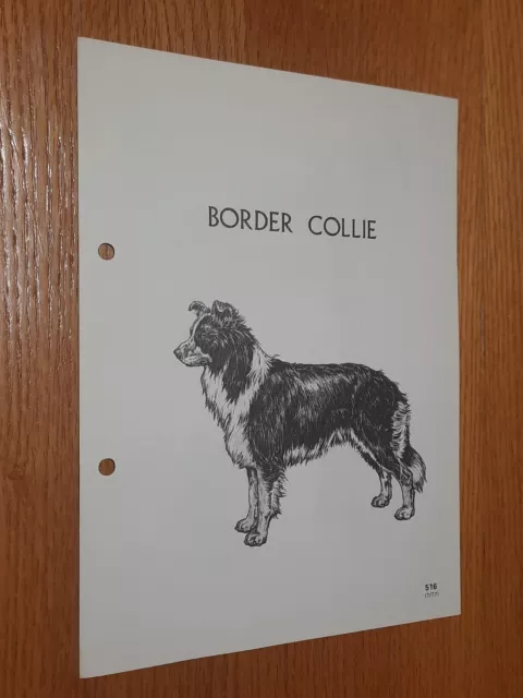 Border Collie Breed Supplement RAS Kennel Control Working Dogs Group 5