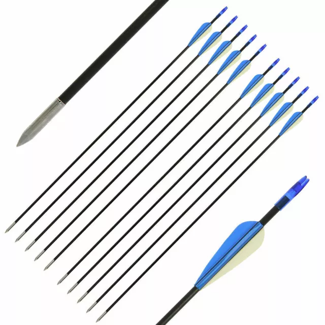 10x Archery Arrows For Compound Recurve Bows Fibreglass Point  26" 28" 30"