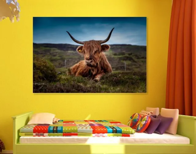 Scottish Highland cattle breed Cow Canvas collection Home decor wall print art