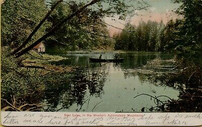 1907 Landscape View Star Lake Western Adirondack Mountains NY Postcard B46