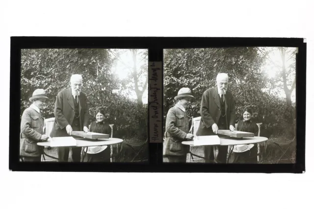 Famille dans le jardin France Photo Stereo Plaque de verre Vintage c1930