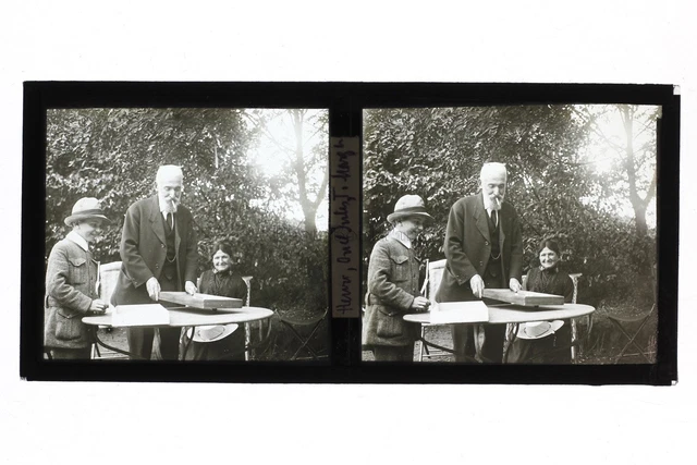 Famille dans le jardin France Photo Stereo Plaque de verre Vintage c1930