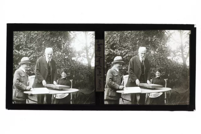 Family in the Garden France Photo Stereo Glass Plate Vintage c1930