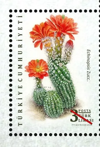 Türkei 2020 Turkey- Kakteen,Cactus/Kaktüs, Mi.4589/93 Bl.:202  ** MNH Postfrisch 2