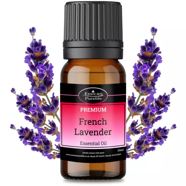 LAVENDER (French) Essential Oil Certified 100% Pure & Natural 10ml to 1000ml