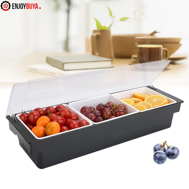 Multi-Functional 3-Pint Abs Condiment Holder With Ice Compartment Fruit Tray