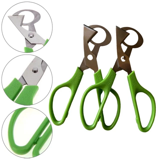 Ibasenice 20 Mini-Œufs De Caille En Plastique – 1,2 Cm – Accessoires Pour Micro-Paysage, Jardin Miniature, Bricolage Et Décoration
