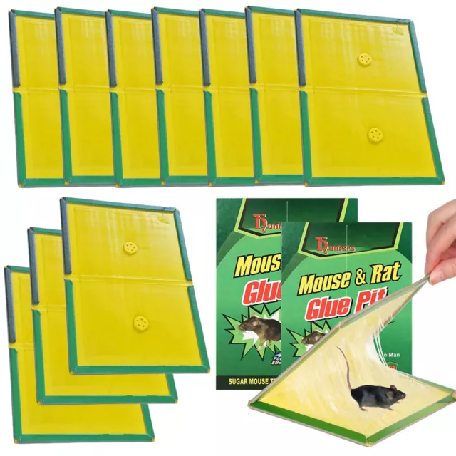 20X MouseTrap Board Pad Rat Traps Mouse Traps Mice Cockroach FAST DELIVERY