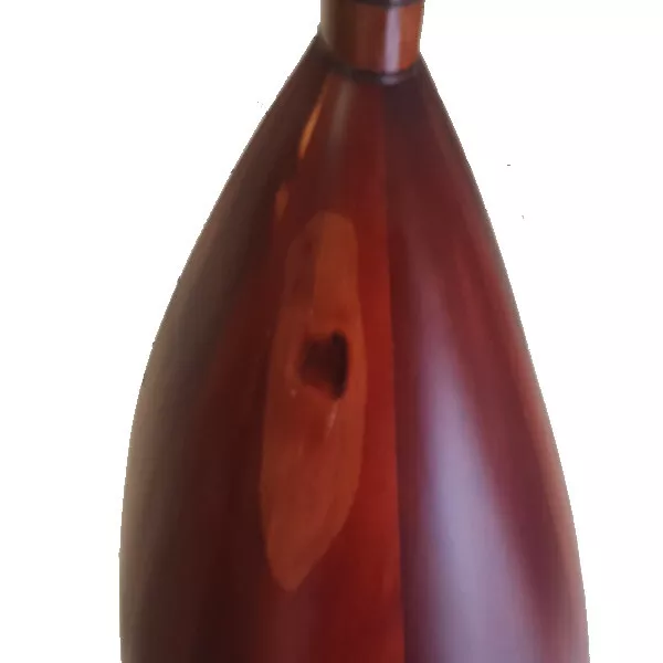 Kisa Sap Baglama Ardic 43 cm 2