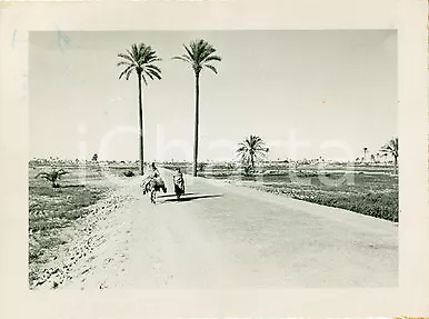 1937 MISURATA (LIBIA) Una strada nel deserto *Foto ANIMATA