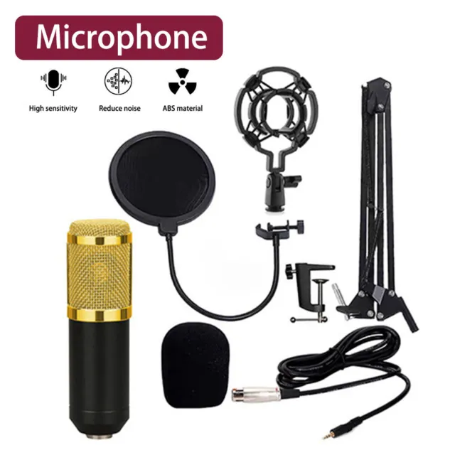 Professional Studio Condenser Microphone Kit Recording Broadcasting Shock Mount