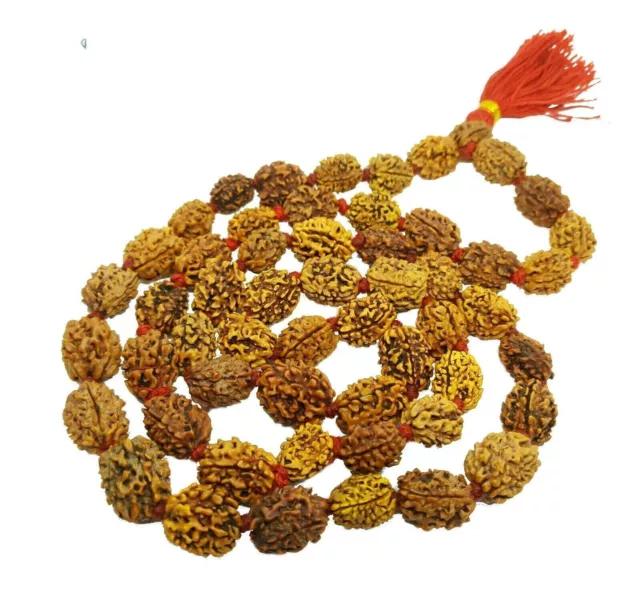 3 Mukhi Rudraksha Mala 3 Visage Rudraksh 15 Mm Perles Taille 100% Réel...