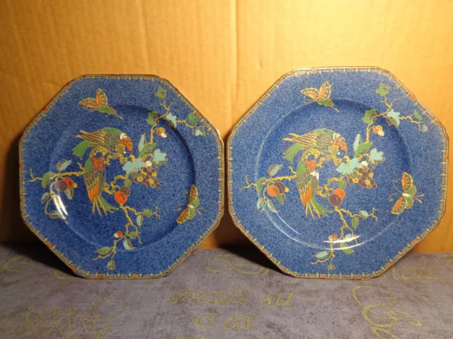 2 Octagonal Plates Enameled Parrot & Butterfly Selah Pattern Bursley Ware Crown