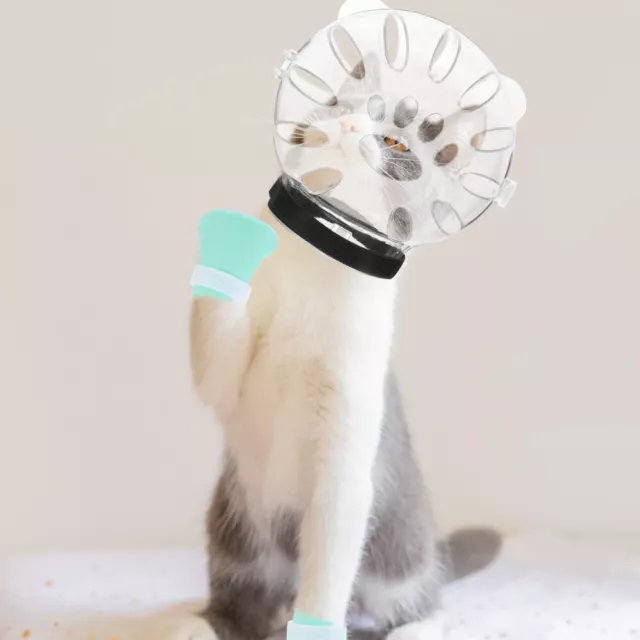 Katzenpflegehaube Katzenhelm, Um Das Lecken Zu Stoppen