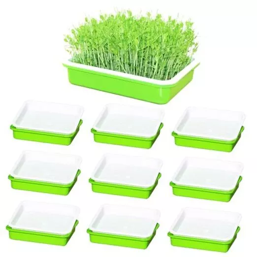 10 Pack Seed Sprouter Tray Microgreens Growing Trays BPA Free Nursery Tray