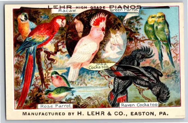 Alvin A. Bender Lehr Pianos Hanover , PA Victorian Trade Card Parrot Cockatoo