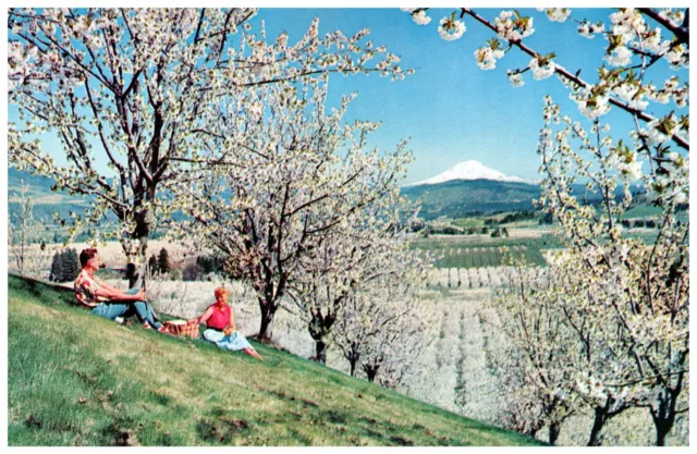 Postcard Mount Adams WA Seen From Hood River Valley OR Onlookers