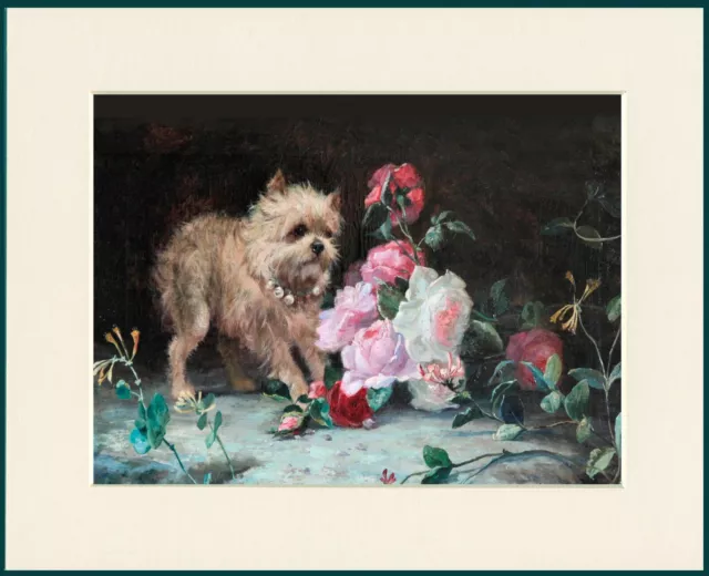 Brussels Griffon Cute Little Dog Print Griffon & Roses Ready Mounted