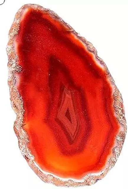 Pietra grezza minerale naturale FETTA AGATA ROSSA 6-7 CM