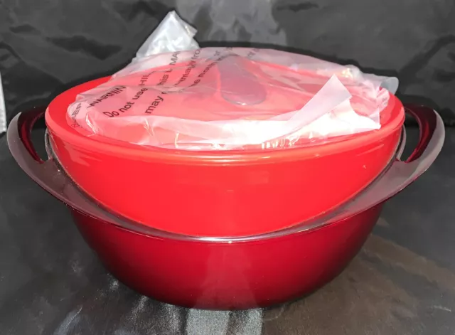 https://www.picclickimg.com/mgcAAOSw619lQ8bZ/Pinnacle-Tokyo-Plast-Thermo-Insulated-Food-Bowl-Container.webp