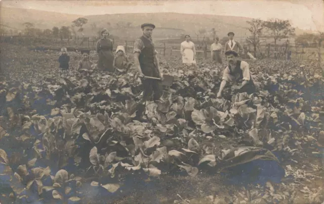 WW1 postcard Wounded Tommy Soldier in Hospital Blues farming