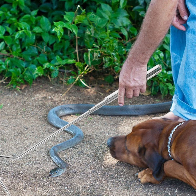 Stainless Steel Extendable Snake Hook - 33 Inch Professional Snake Handling Tool