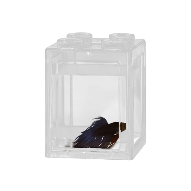 Acrylic Fish Tank Transparent Prevent Escaping Mini Acrylic Fish Tank Reusable