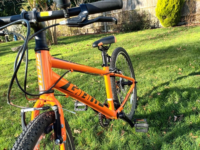 GIANT ARX 20 inch wheels In Fantastic Condition. 160.00 PicClick UK