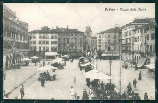 Padova Città Piazza delle Frutta Mercato cartolina QT3830