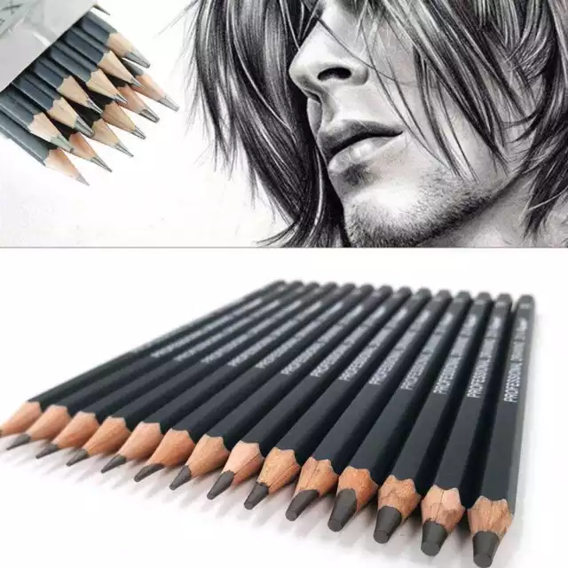 14Pcs Sketch Pencils Set Sketching Charcoal Drawing Graphite Pencil Art K4X3ㄜ