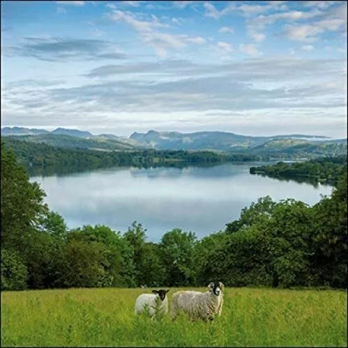 National Trust Wray Castle Blank Greeting Card - Lake Windermere Birthday Card