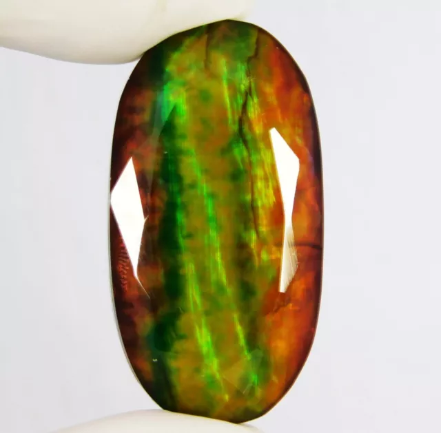 Certified 28.55 Ct Ammolite Opal-Like Organic Natural Doublet Oval Cut Gemstone