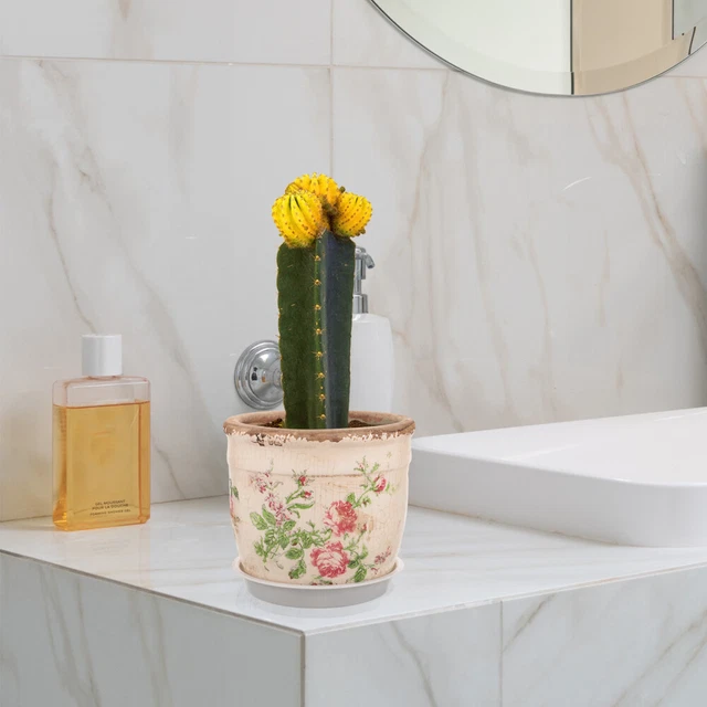 Gufo in ceramica 2.5 pollici succulenta fioriera fluente Base di smalto Set foro