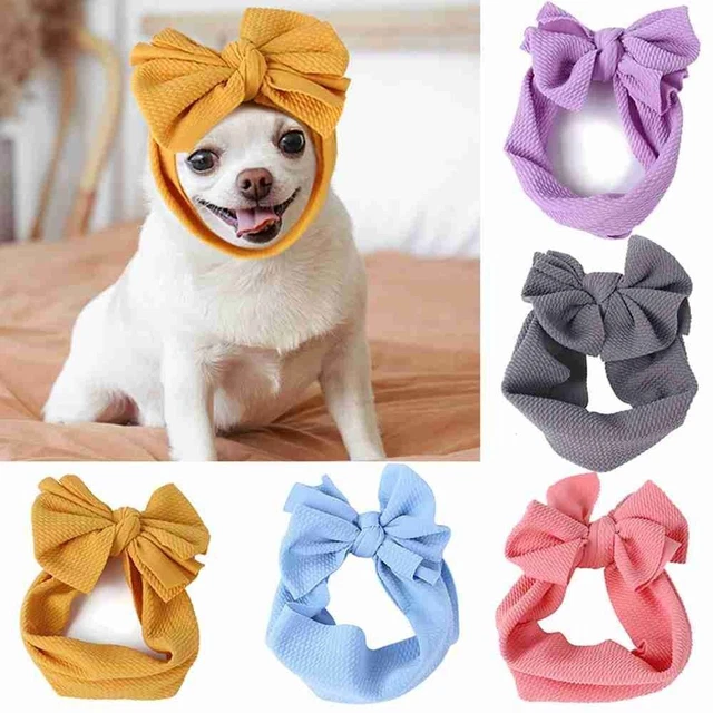 Cinta elástica para el pelo de gato pliegues cubierta cabeza mascota mosca perro diadema