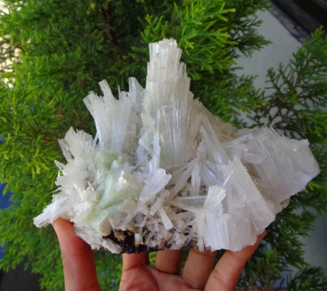 Green Apophyllite Crystals w/ Scolecite On Matrix Minerals Specimen