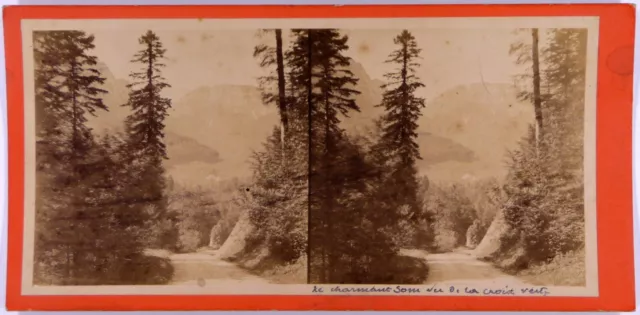 Isère.38.Le Charming Som vu de la Croix Verte.Photo Stereo View Unique! An.1870.