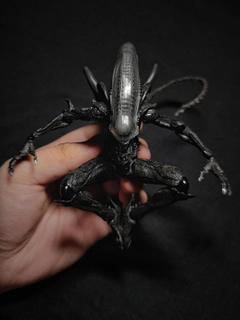 NEW ALIEN XENOMORPH With Facehugger 6" Action Figure Halloween Toy WITH ...