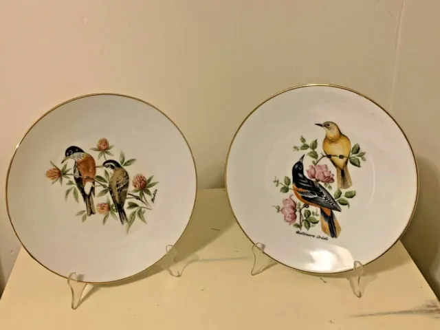 2 vintage decorative bird plates by Bareuther Waldsassen in Bavaria, Germany